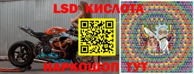 стаф Кунгур