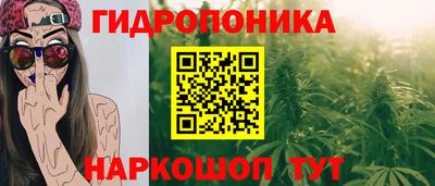 прущие грибы Кулебаки